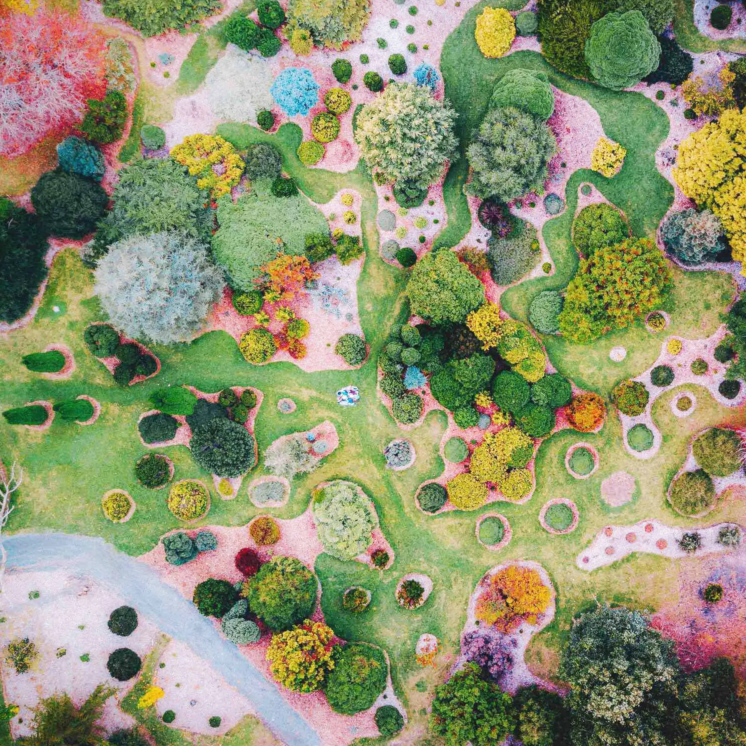 Beautiful AI created landscape